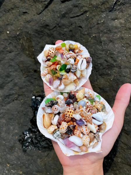 海螺创业做什么的