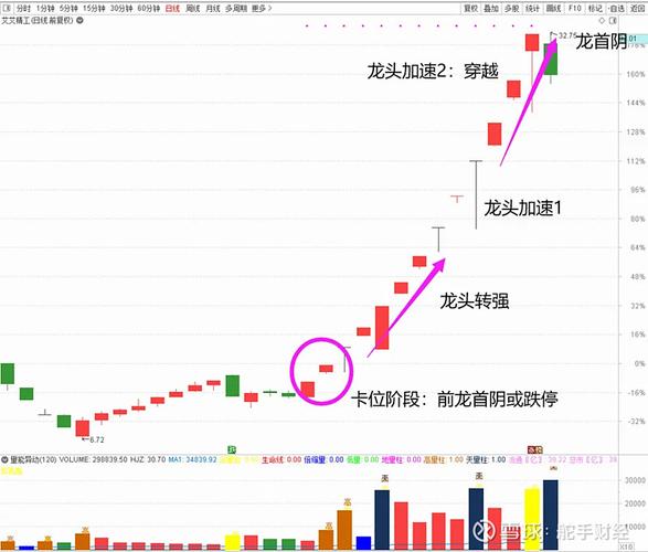 周期龙头股是什么意思