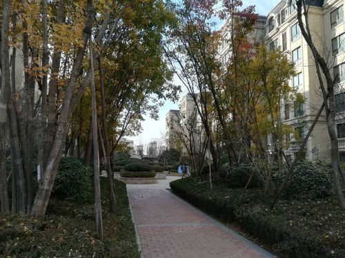 富田兴和苑属于什么社区