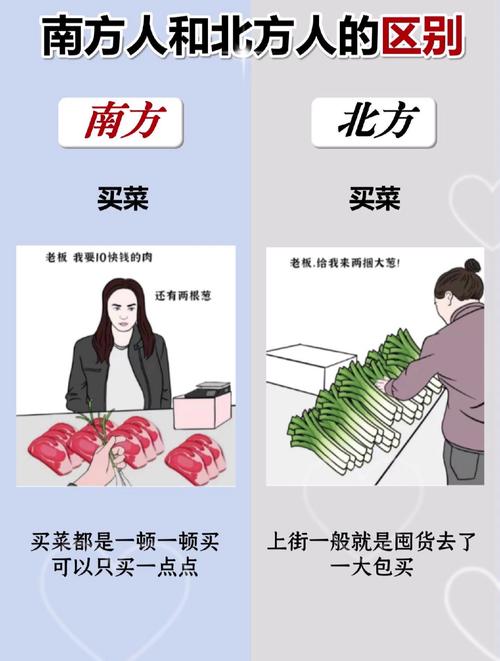 中国南方和北方哪个发达