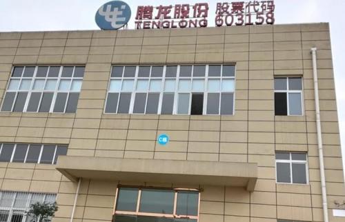 腾龙股份企业是什么性质